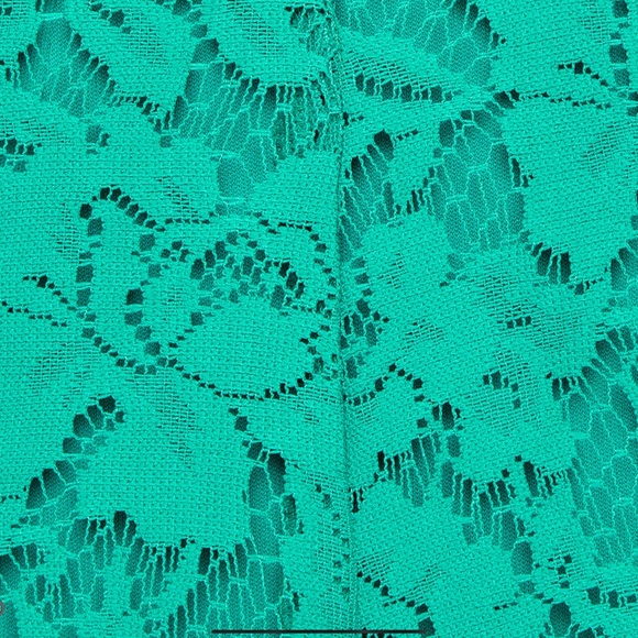 Danny & Nicole-Petite Sleeveless Floral Lace Fit & - Picture 3 of 3